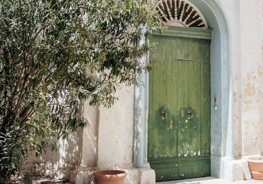 The Olive Tree and the Olympics: An Ancient Bond