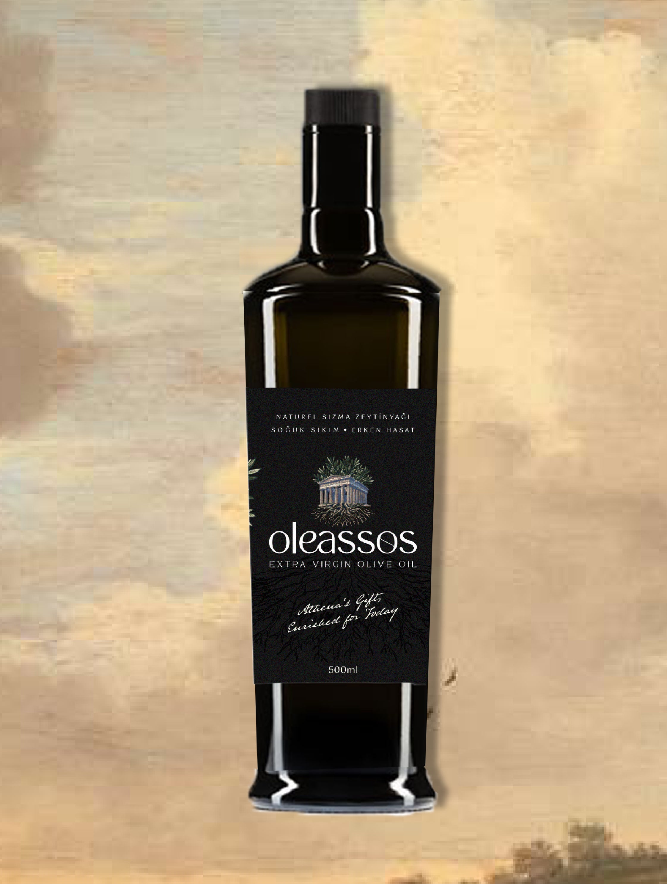 OleassosWebHomePage_AboutUs_Pr